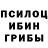 Галлюциногенные грибы мицелий _chere_ pashka_