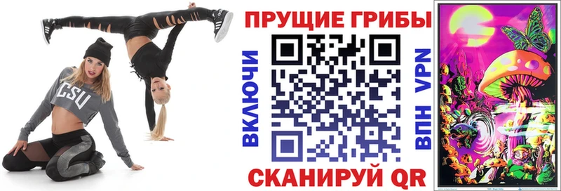 Купить где  Кондрово  Псилоцибиновые грибы мицелий 